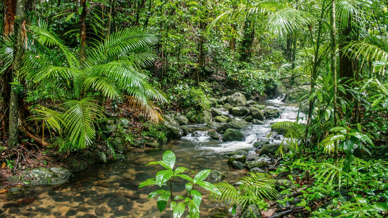 Top 5 day trips from Cairns