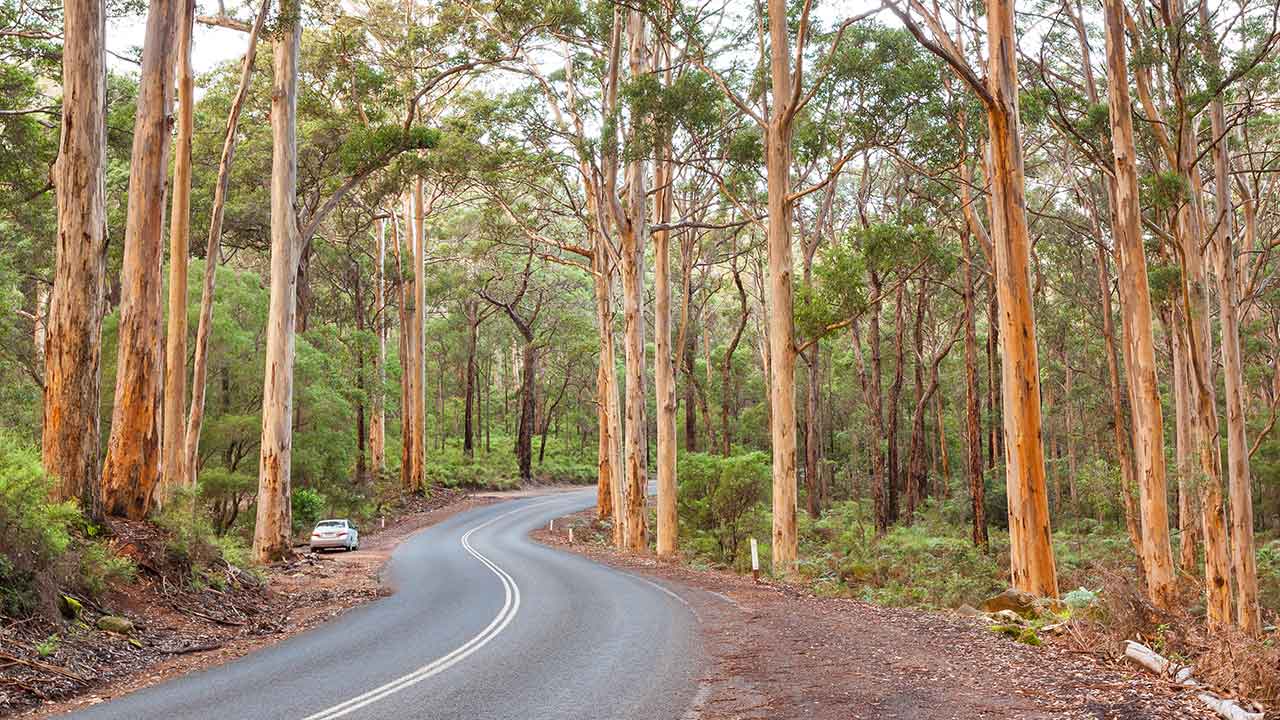 5 of the Best Road Trips to Take from Perth